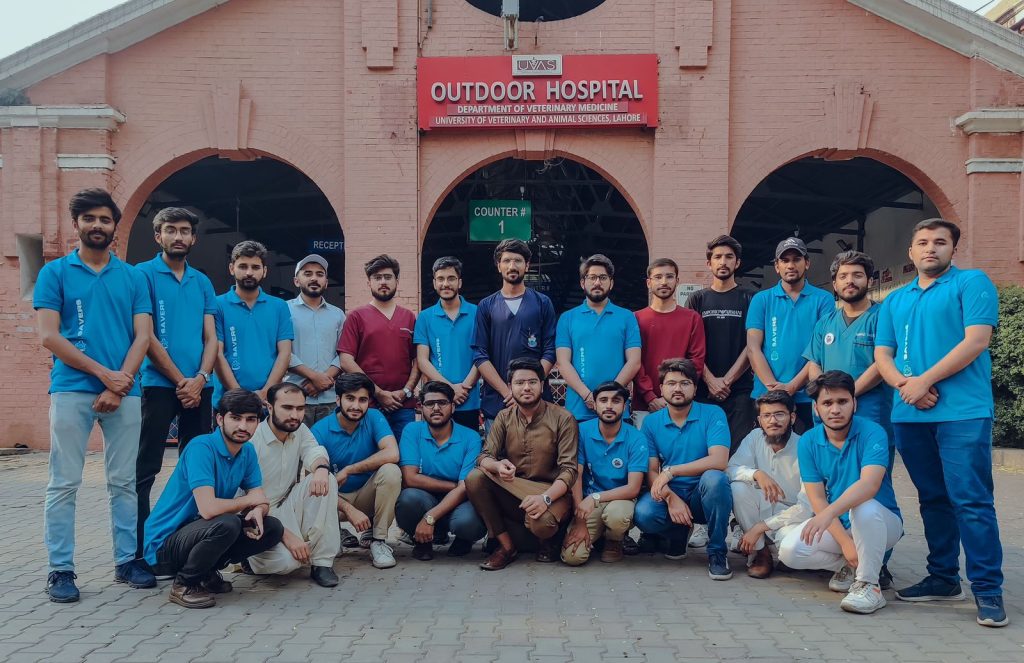 A large veterinary team from SAVERS stand in front of hospital.