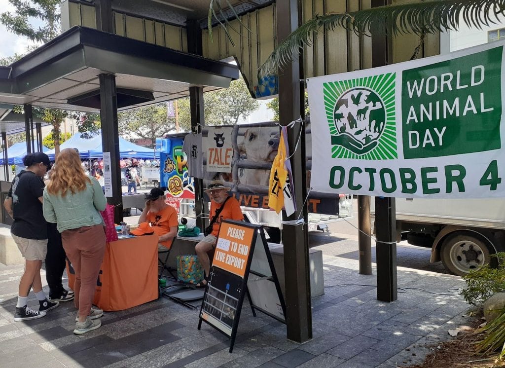 Volunteers from Townsville Against Live Exports (TALE) hosting a stall for World Animal Day on October 4.